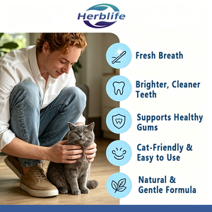 Poudre dentaire pour chats OEM ODM, rafraîchisseur d'haleine naturel, élimination de la plaque et du tartre, complément de soins bucco-dentaires pour animaux de compagnie, service personnalisé en gros - Product Image 4