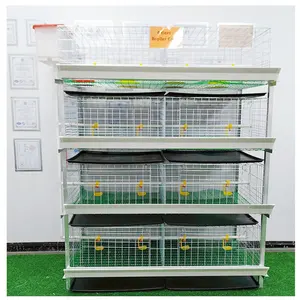 H Type 80 Broilers Layer Battery Cage For Poultry Chicken Broilers Automatic Farm