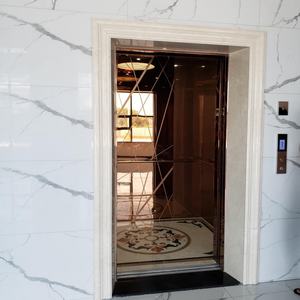 Luxury Modern Golden Villa <b>Passenger</b> Elevator Lifts for Home & Commercial Use Stainless Steel Africa Middle East Market - Product Image 2