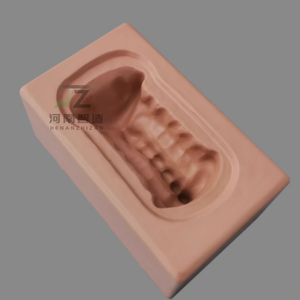 Modèle <span class=keywords><strong>de</strong></span> vertèbre cervicale <span class=keywords><strong>de</strong></span> C1 à C7: os simulé, os artificiel, support <span class=keywords><strong>de</strong></span> base d'os <span class=keywords><strong>de</strong></span> pratique - Product Image 1