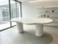 Table basse moderne et durable en forme de nuage blanc avec panneau en bois irrégulier pour salon, meubles de maison