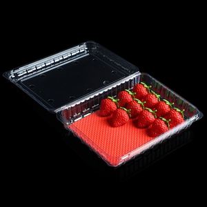 Plateau en plastique jetable de haute qualité pour viande, 76x76mm, avec tampon absorbant pour fraises (Super Fraises) - Product Image 4
