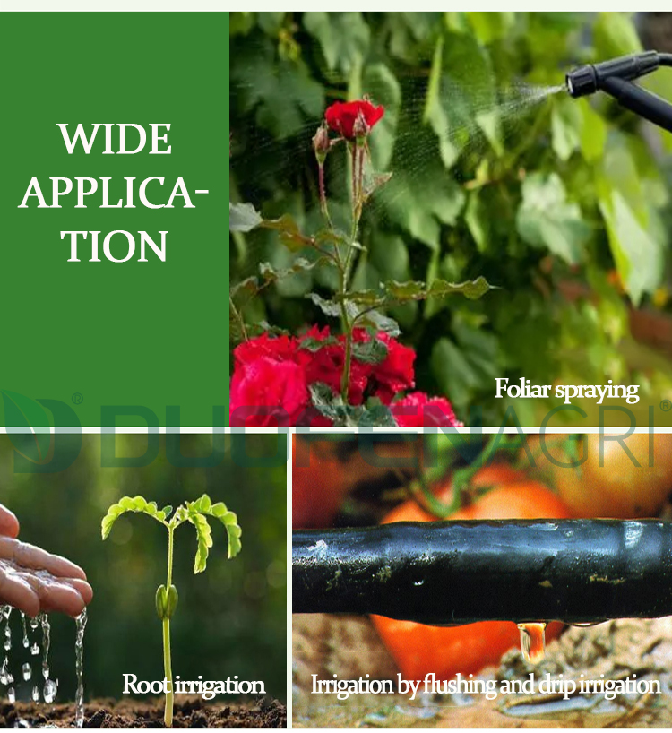OEM ODM Water Soluble NPK 20-20-20 Fertilizer Powder Wholesale image 5