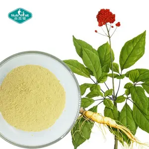 Os melhores suplementos herbal chinês da qualidade superior pó solúvel do extrato da raiz do genseng do panax