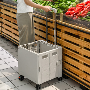 Carrito de Camping Plegable Portátil para Viajes al Aire Libre, Carrito de Playa Moderno para Picnic, Carrito de Jardín de Gran Capacidad - Product Image 4