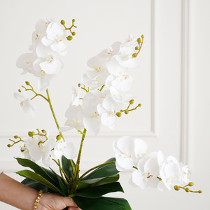 Orchidées Phalaenopsis Artificielles en Soie, Fleurs Artificielles pour Mariage et Décoration Intérieure, Fabrication Artisanale Moderne, Vente en Gros Transfrontalière - Product Image 4