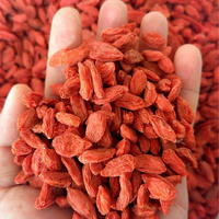 Groothandel Topkwaliteit Biologische Gedroogde Gojibessen Natuurlijk Zoete Rode Wolfberry Ningxia Oorsprong Superfood Fruit voor Bakkerijen