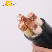 Harga Kabel Daya Berpelindung Multicore 95mm 120mm 240mm 300mm 0.6/1kV CU/XLPE/PVC