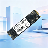 PUSKILL M.2 NGFF SSD 2280 SATA III 128GB 256GB 512GB 1TB 2TB Internal Solid State Drive untuk Gaming Desktop Laptop
