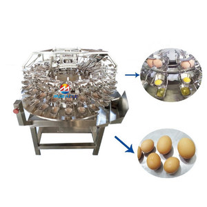 Máquina Comercial de Alta Capacidad para Romper, Separar y Pelar Huevos - Product Image 6