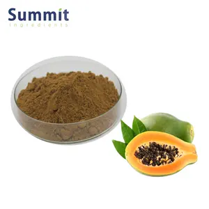 Food Quality Papaya Fruit Extract 4:1 Papaya Fruit Powder