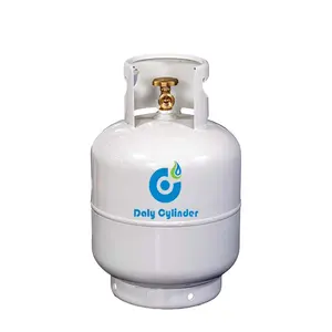 High Quality Lpg Tank Mini Cooking Camping Gas Steel Bottle Lpg Cylinder