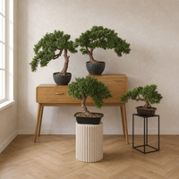Arbre Bonsaï Artificiel OEM ODM, Plante Artificielle en Pot pour la Décoration de la Maison, du Bureau, de la Table, de la Table de Bureau, Végétation Miniature Réaliste, Cadeau