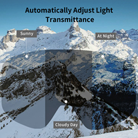 OEM ODM Lunettes de ski magnétiques personnalisées TERROR T-REACT Photochromiques Anti-buée Protection UV400 Légères pour le snowboard