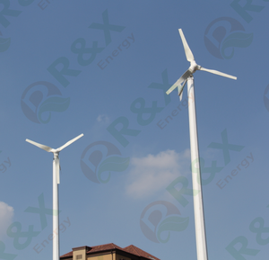 เครื่องกำเนิดไฟฟ้าพลังงานลมแบบแกนแนวนอน 2000W 3000W 5000W ความเร็วลมเริ่มต้นต่ำ ควบคุมมุมใบพัด รุ่น R&X RX-4000L 48V-220V Wind RX-4000L - Product Image 2