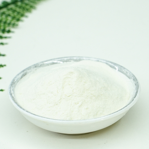 Poudre de jus de <span class=keywords><strong>banane</strong></span> instantanée à succès – Formule personnalisée pour boissons, pâtisseries et yaourts - Product Image 2