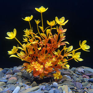 Wholesale Simulation Water Grass Landscaping, <strong>Aquarium</strong> Simulation Flower Decoration Small Ornaments, <strong>Fish</strong> <strong>tank</strong> Plastic Plants - Product Image 3