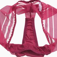 Culottes string sexy pour femmes, culottes sans couture, sous-vêtements transparents, sous-vêtements transparents pour filles, lingerie intime, culotte en dentelle