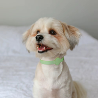 Collier pour animaux de compagnie en PU avec logo personnalisé, compatible avec AirTag, anti-perte, suivi GPS, collier ajustable pour chats et chiens, toutes saisons