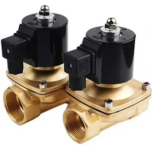 แรงดันสูงSolenoidวาล์วควบคุมไดอะแฟรมน้ํามัน 1/4 2 นิ้วDC24V 12Vวาล์วSolenoidน้ํา