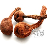 Extracto de Fruta de Huanarpo Macho Silvestre Puro de Grado Alimenticio en Polvo, Envasado al Vacío con Servicios OEM para Suministro a Granel
