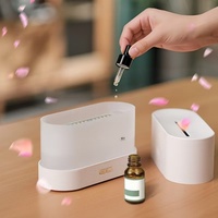 Diffuseur d'arômes 3D à effet flamme, humidificateur d'huiles essentielles LED coloré, brume ultrasonique pour la maison, le bureau, la décoration de bureau