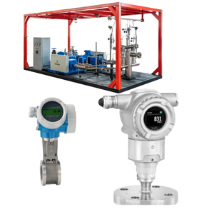 Module de commutation avec débitmètre Endress+Hauser Proline Prowirl D 200 et module de commutation Cerabar PMP50 - Product Image 6