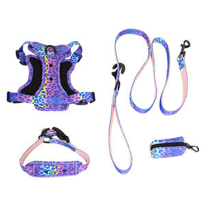 Arnés de tracción para perros pequeños con estampado de leopardo, orificio para el pecho y la espalda, pegatina de dibujos animados DIY, reflectante, transpirable, con hebilla y cierre de cremallera - Product Image 1