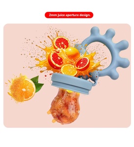 Sucette en silicone organique pour animaux, distributeur de fruits pour bébé à débit lent, 1 à 3 ans - Product Image 1