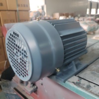Moteur à induction triphasé IE3 à deux pôles YE3-200L1-2 30KW 50/60Hz 380-460V IP55/IP56/IP65 pour usage agricole