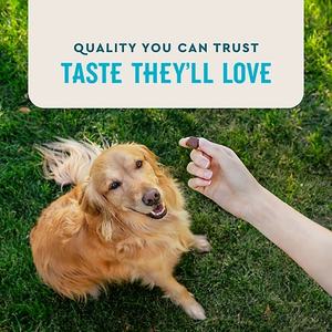 Complément alimentaire pour chiens en forme de friandises molles pour les articulations, marque privée OEM/ODM, pour la santé des hanches et des articulations, soutien de la santé des hanches et des articulations, immunité - Product Image 3