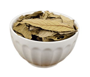 Guayaba guaudio-videoa WAX-Apple <span class=keywords><strong>psidium</strong></span> guava สารสกัดจากใบ - Product Image 5