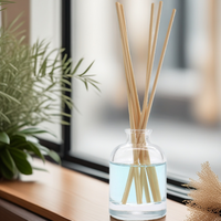 Boîte d'emballage en verre plat pour diffuseur de parfum personnalisé de 3,5 mm, échantillons d'huiles essentielles, diffuseur à roseaux
