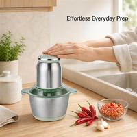 Hachoir à viande électrique commercial en acier inoxydable 2L, machine de traitement des aliments multifonctionnelle portable pour la maison, vente en gros