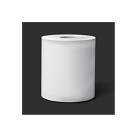 Plaque de mousse PP 3T haute performance, recyclage RPP en circuit fermé, conception éco-efficace, alternative au mousse hyperfoam S PS, conteneur pour ramen