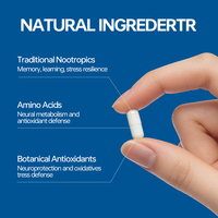 Capsules Nootropiques en Gros pour le Cerveau avec Niacine, Calcium, B6, Molybdène et Vitamines pour le Bien-être Quotidien du Cerveau – Supplément Certifié Halal