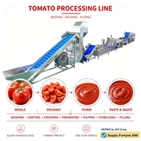 Commerciële fruit-, groente-, zoete aardappel- en tomatenverwerkingslijn met automatische ozonsterilisatie, reiniging, snijden, drogen en motor.