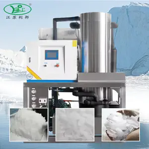 25000 kg with cold room Ice Flake making Machine in fishery company
