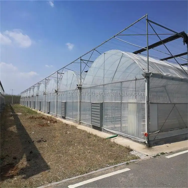 Agriculture NFT Hydroponics multi span film Greenhouse