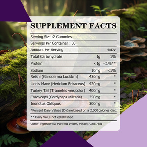 Best Seller Mushroom Gummies with Total Carbohydrate Improve Memory Boosts Immunity Focus Easy Chewable Swallow Gummies - Product Image 2