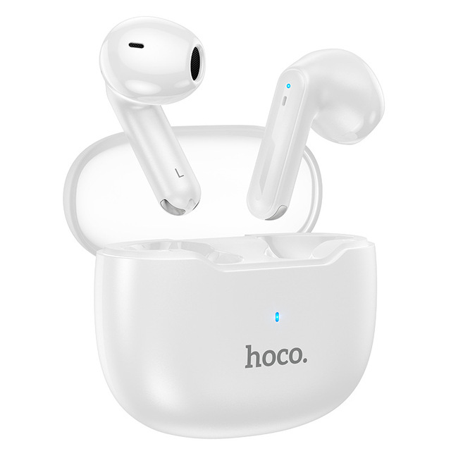 EW29 Dual Mic ENC In-Ear True Wireless for Headphones with Type-C Interface