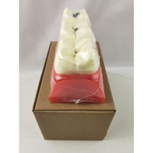 Modelo de dientes M4020 para práctica de caries, herramienta de entrenamiento dental con dientes desmontables - Product Image 5