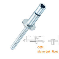 Rivets d'avion en acier inoxydable, rivet monoboulon avec boulon en acier inoxydable, solution de fixation durable, tête bombée/CSK, classe 4