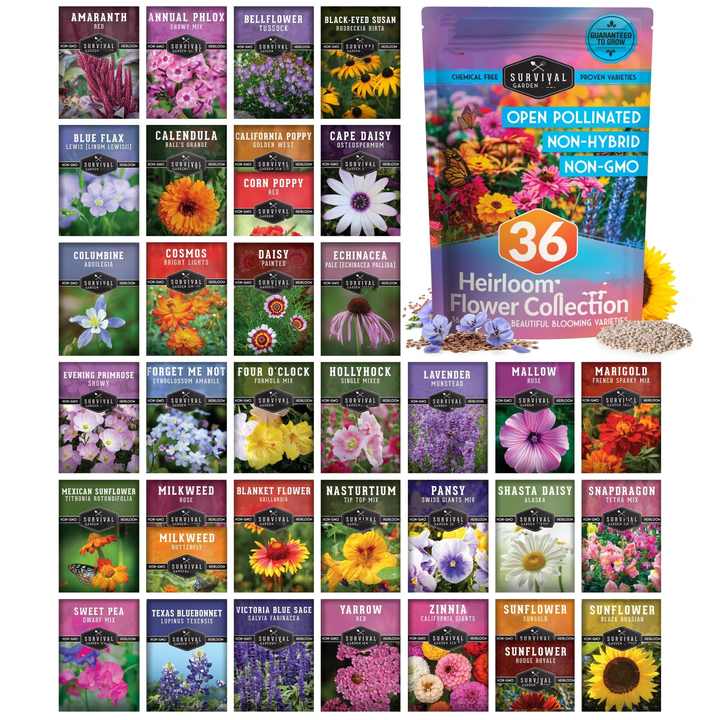 36Pack NonGMO Heirloom Flower Seeds Starter Kit Bee Butterfly