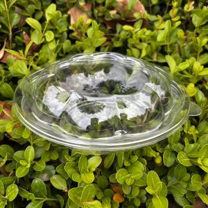 16 Oz Huisdier Transparante Ronde Salade Saus Container Combo Met Handige <span class=keywords><strong>Go</strong></span> 450 Ml Plastic Dozen Deksel Voedsel Opslag En Serveren - Product Image 4