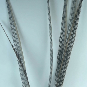 Großhandel Günstige Künstliche Fasanenfedern Reeves-Fasanenfedern Jagdfasanenschwänze zur Dekoration - Product Image 6