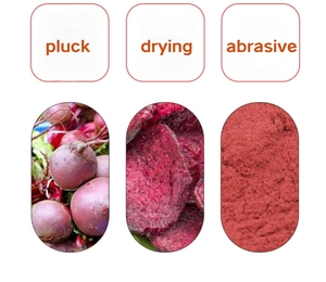 Poudre de betterave pure lyophilisée par sciences de l'académie agricole naturelle sans sucre poudre de betterave de forme physique de cuisson raffinée - Product Image 4