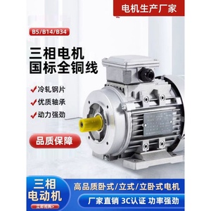 Moteur triphasé 1 kW 2800 tr/min B14 horizontal vertical pour équipement mécanique - Product Image 1