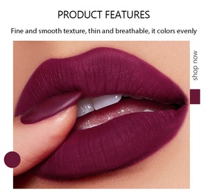 Fit Colors Matte 5-Farben Mini 5-in-1 Lippenstift-Kombination Matte Samt-Farbe Nicht Klebender Lipgloss Lippenstift - Product Image 6