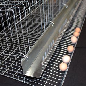 Equipo de Cría de Pollos de Engorde Automático, Jaula para Pollos de Engorde <span class=keywords><strong>Tipo</strong></span> Poultry, <span class=keywords><strong>Gallinero</strong></span> para Nigeria - Product Image 2
